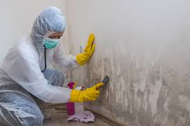 Best Biohazard Mold Removal  in Harrison, NJ